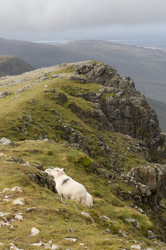 Snowdonia, Ranger Path